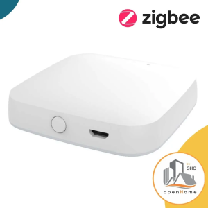 Hub-Concentrador Zigbee LAN cableado (ZB-HUB)